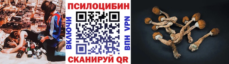 Псилоцибиновые грибы прущие грибы ОМГ ОМГ как зайти Карабаново