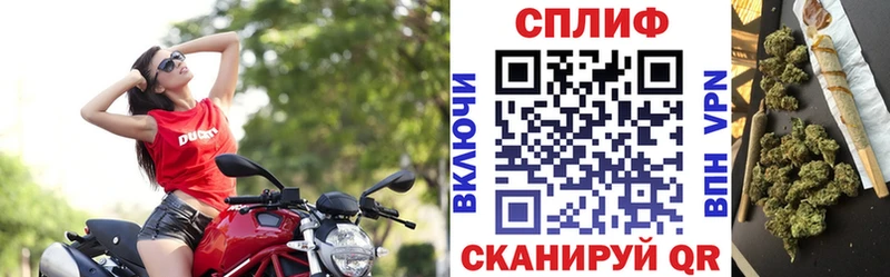 Бошки Шишки гибрид Карабаново